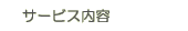 �T�[�r�X���e