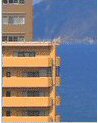 IT専門翻訳家RSさん